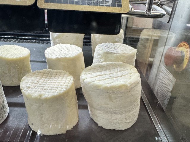 Crottin de chèvre, Les vaches nous rendent chèvres