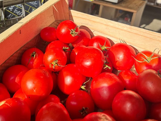 Tomates locales bio, Potager de Kerouar
