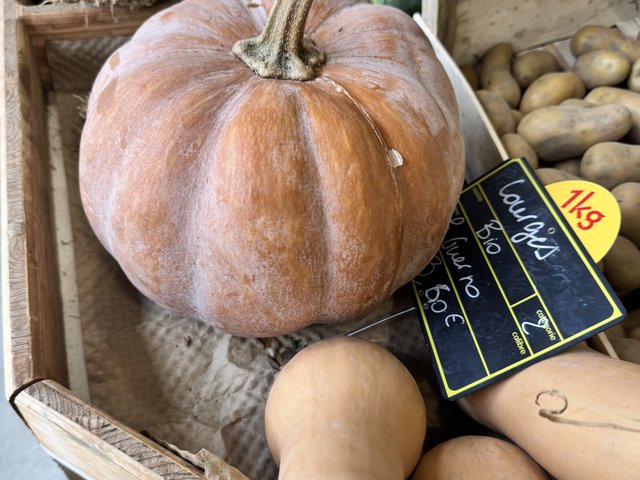 Courges bio, Potager de Kerouar