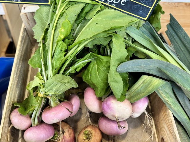Navets bio en botte, Potager de Kerouar